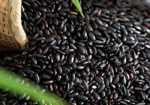 黑米和瓜可以一起吃吗,健康搭配的饮食新主张