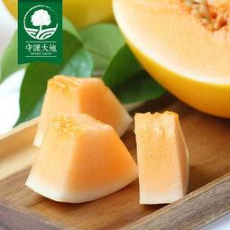 海沙蜜瓜今日价格表,甜蜜诱惑，品质生活新选择