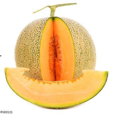 黑狼可以吃哈密瓜吗,自然界的饮食之谜