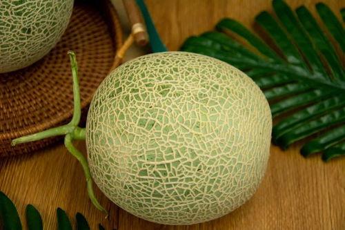 今日网纹瓜价格,市场行情一览