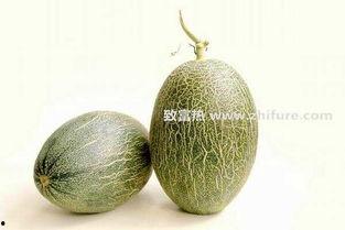 甘肃民勤哈密瓜今日价格行情,今日价格行情一览，品质佳价优引关注”