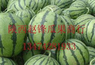 甘肃民勤哈密瓜今日价格行情,今日价格行情一览，品质佳价优引关注”