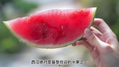 血糖高可以吃黑瓜吗女性,黑瓜——健康饮食新选择