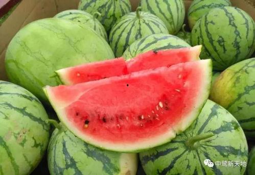 今日的吃瓜排行榜是什么,揭秘娱乐圈最新热点事件