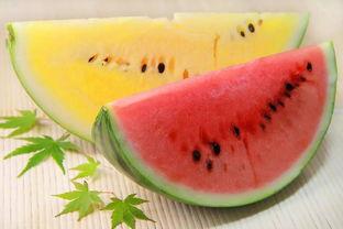 热门大瓜今日吃瓜中心,揭秘娱乐圈最新猛料，吃瓜群众狂欢时刻！