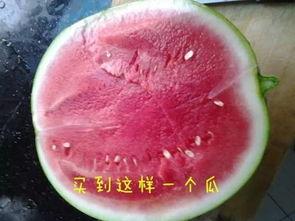 黑瓜西瓜子怎么吃,黑瓜西瓜子轻松开吃攻略