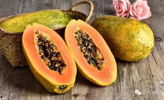 辽宁今日角瓜最新价格,行情波动，最新动态一览”