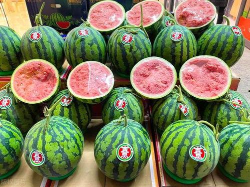 云霄今日照相馆什么瓜,揭秘摄影背后的秘密瓜