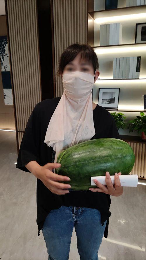 51热门今日大瓜