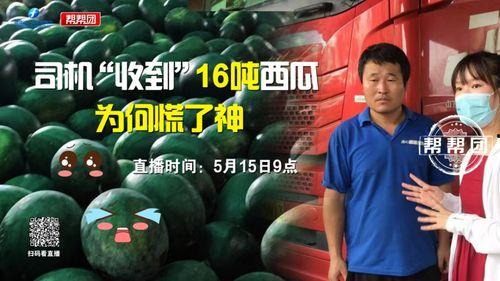 今日份吃瓜挑战全人类,今日份挑战全人类