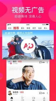 今日摘瓜视频大全下载,精彩瞬间一网打尽