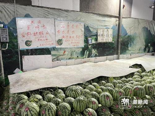 盐城麒麟瓜今日行情,行情看涨！