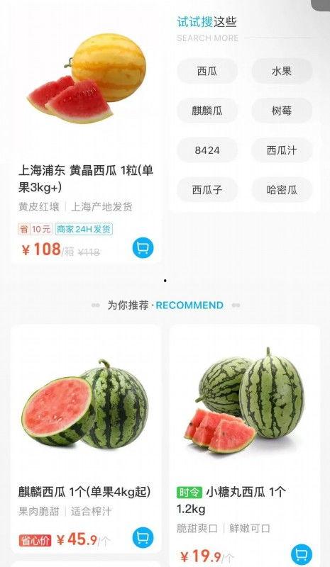 盐城麒麟瓜今日行情,行情看涨！