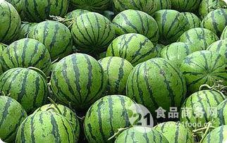 通海今日小瓜收购价格