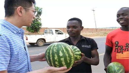 网络吃瓜黑料,揭秘娱乐圈背后的真相与争议