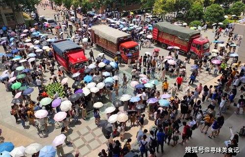今日头条学校学生吃瓜,揭秘学生们的“吃瓜”日常